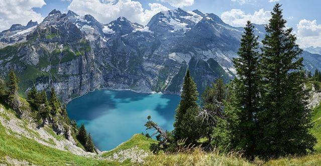 Apartamento The Bluemlisalp, A Private Flat With The Of Thun View *